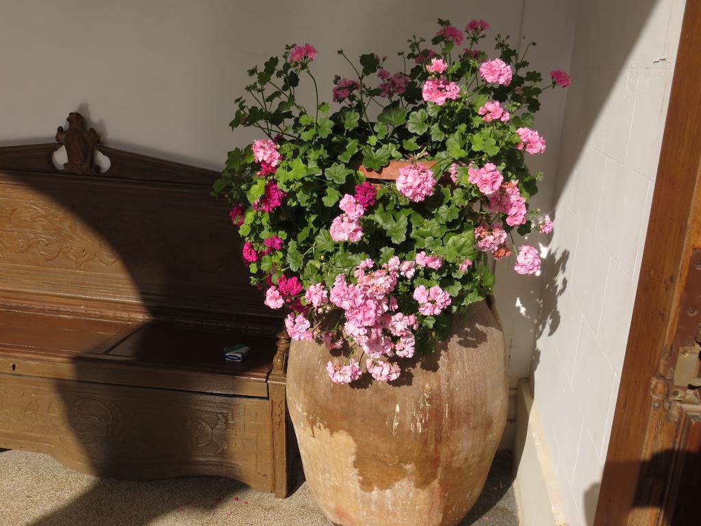 B&B Casa Cavalli Lucera Bagian luar foto